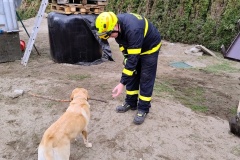 2024-09-27-v-21.37.38_3c987fd5