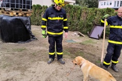 2024-09-27-v-21.37.38_66b0e80a