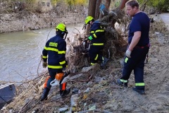 2024-09-27-v-21.37.39_8fca672a