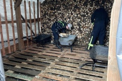 461604324_1710089306471616_9096833948147667417_n