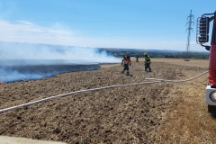 2025_08_20_pozar strniste