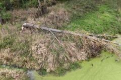 DJI_20250930153907_0201_D