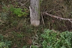 DJI_20251012092513_0252_D